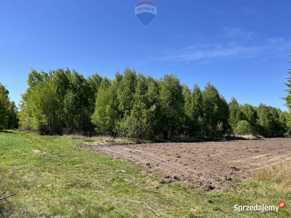 Działka rolna z samosiejkami polna Sprzedaż