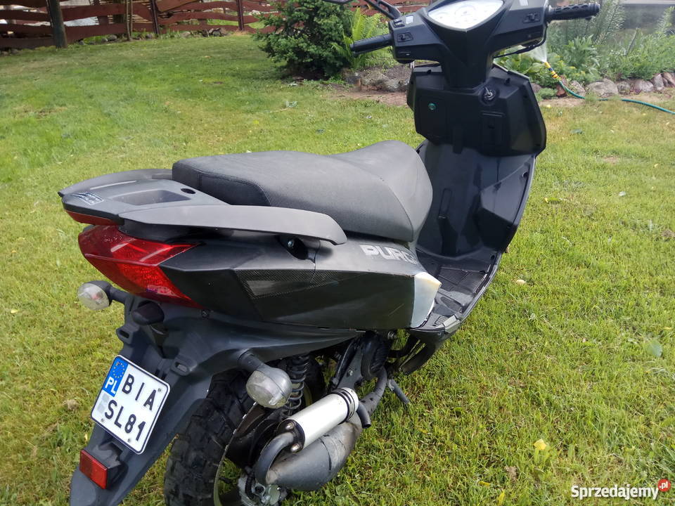 Skuter Kingway Purga 2t 50 l właściciel Kingway Kuriany