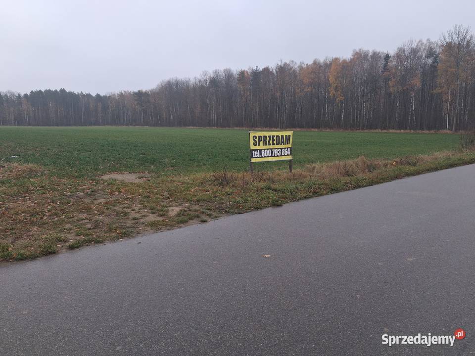 Działkałąkaziemia 320h Zambrów sprzedam