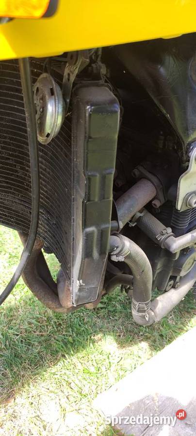 Suzuki RF 600R sportowy Kotków