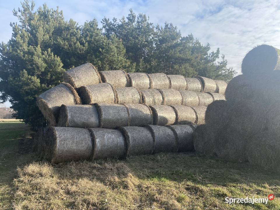 Sprzedam słomę Serokomla