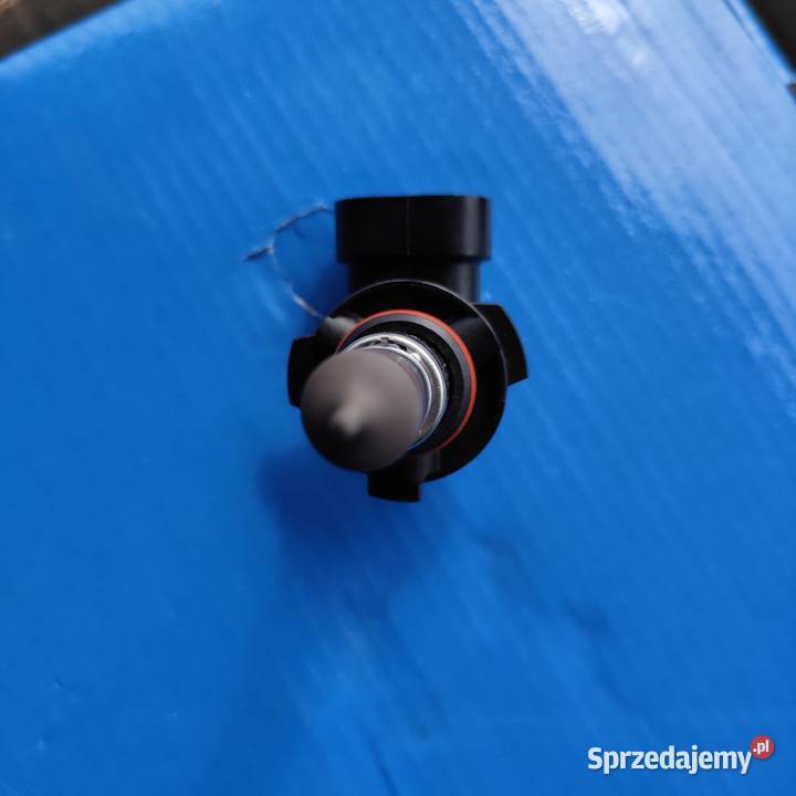 Żarówki H1 H3 H8 H10 Melanów