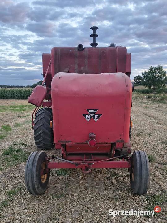 Massey ferguson 87 Massey Ferguson Baruchowo sprzedam
