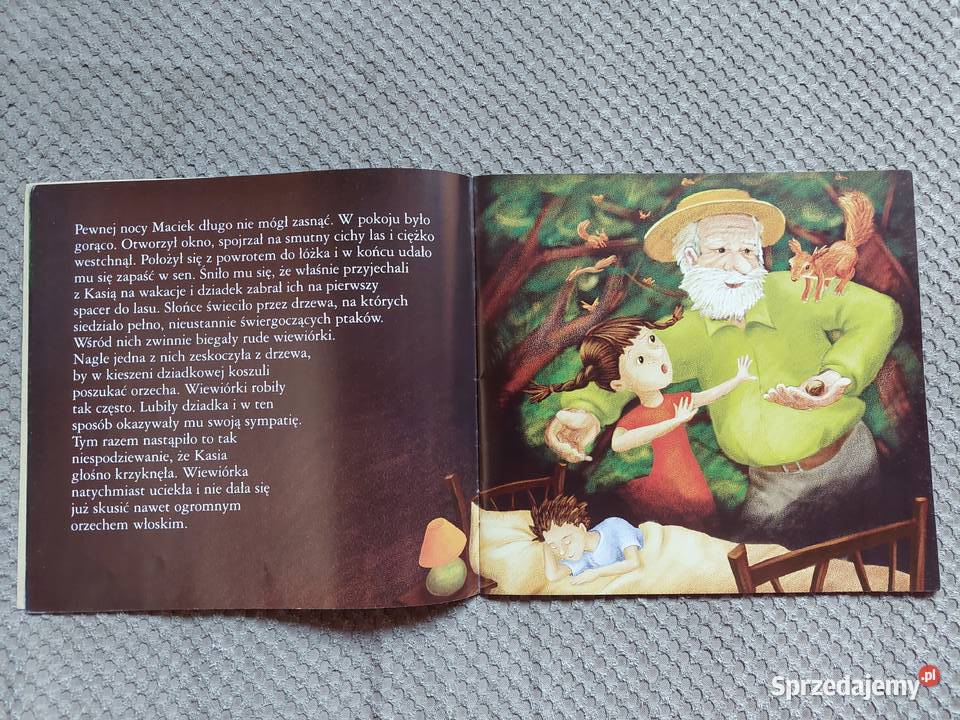 ekobajka Dlaczego zwierzęta opuściły las małopolskie Kraków