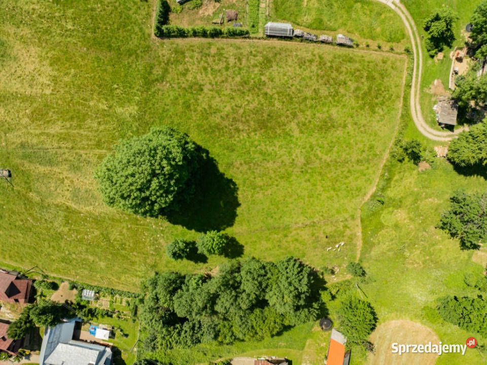 Działka rolna w Brzegach jako lokata kapitału 821m2 Brzegi