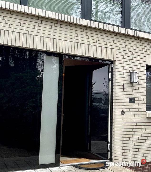Drzwi z panelem szklanym i zintegrowanym Drzwi i okna