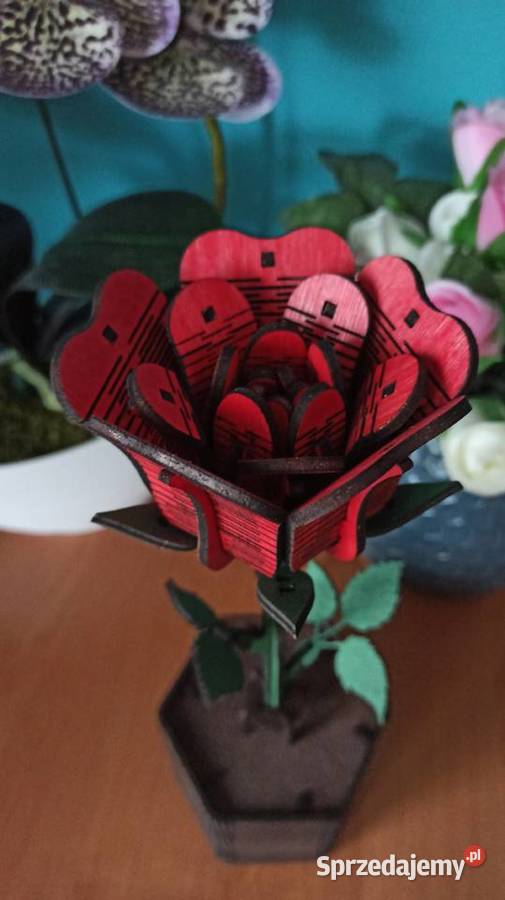 Drewniana Wieczna Róża w Doniczce Walentynki Warszawa