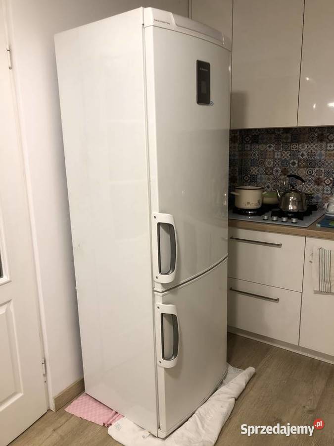 Chłodziarkozamrażarka lodówka Electrolux 185cm