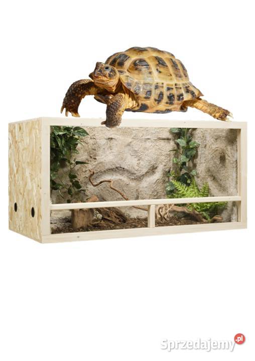 Terrarium z płyty OSB 120x60x60 Pięczkowo sprzedam