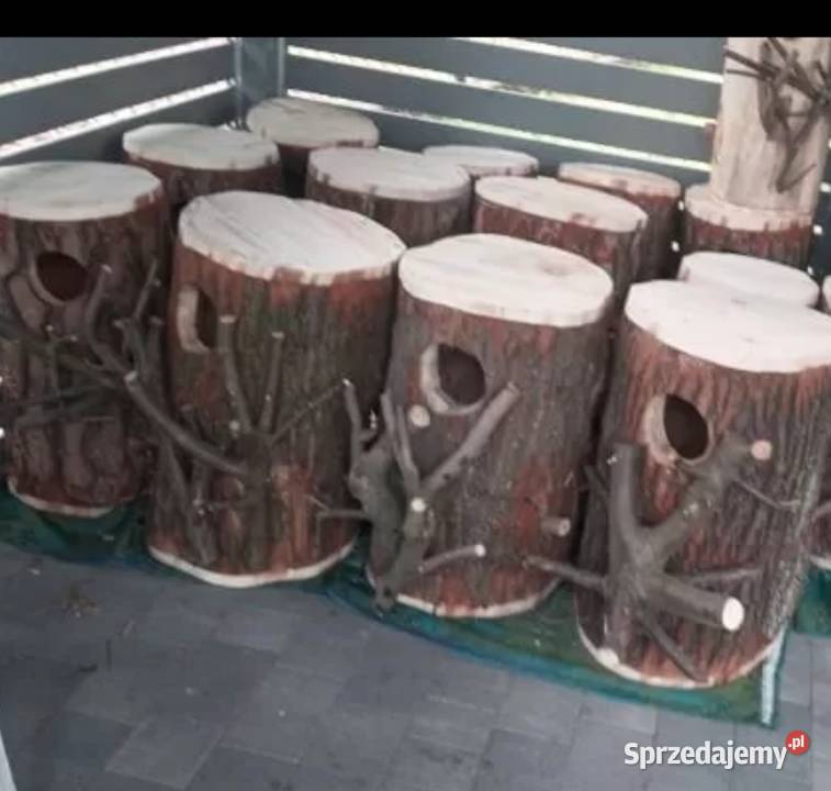 Amazonka budka lęgowa Ptaki śląskie sprzedam