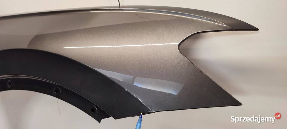 VW TIGUAN II BŁOTNIK PRAWY PRZÓD LR7H 5NA821106B dolnośląskie