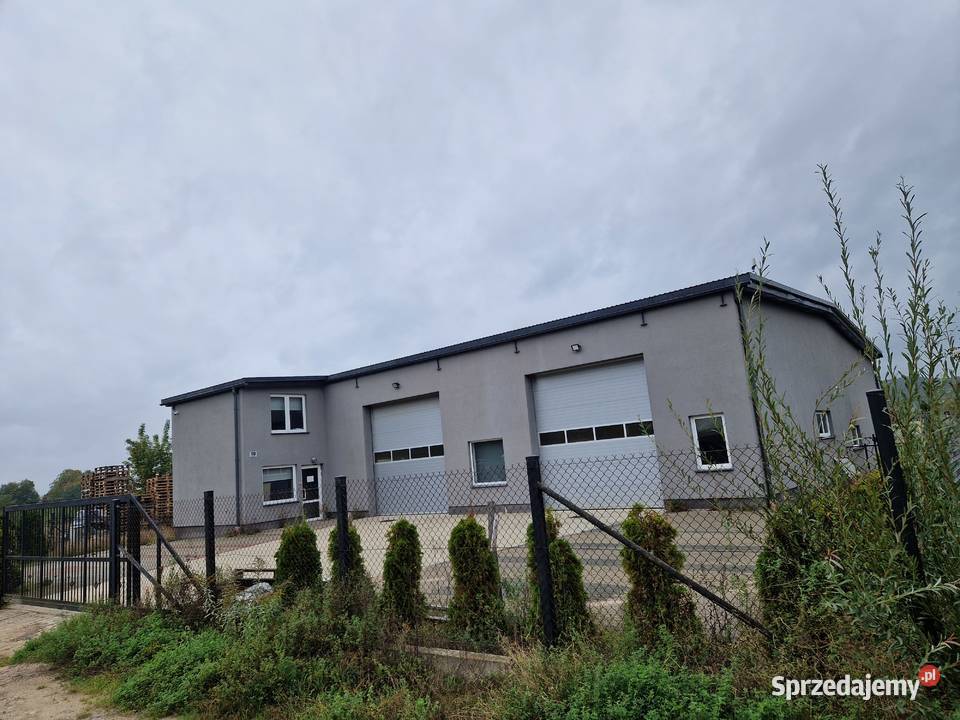 Hala 241 m w Redzie Pieleszewo Reda