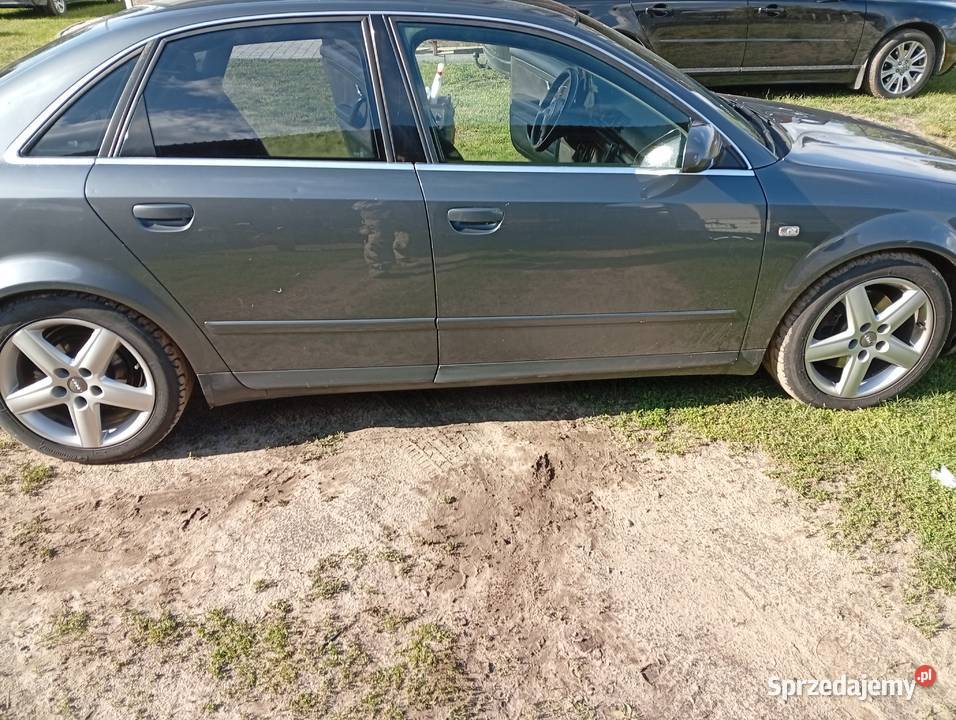 Ałdi A4B6 Audi Dzikowiec sprzedam
