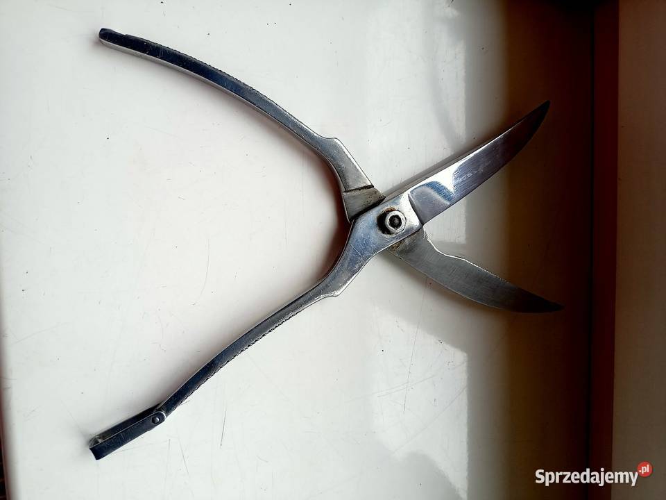 Nozyce do mięsa Gerlach Ostrów Wielkopolski