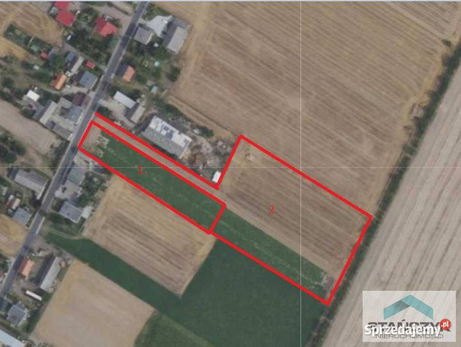 Ogłoszenie działka 3000m2 Maksymilianowo 3000m2 wielkopolskie