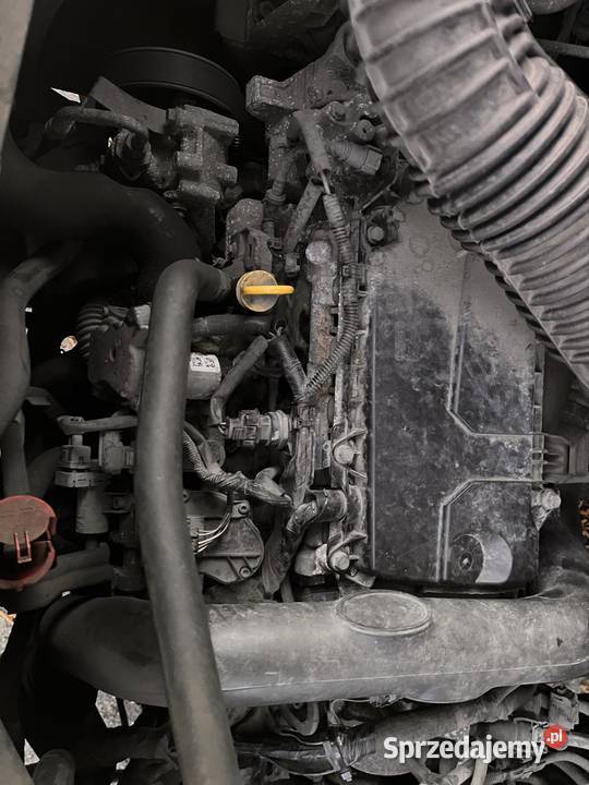 Renault Master 2014r 25 Dci 125 Napęd przednia oś Motoryzacja Rochaliki