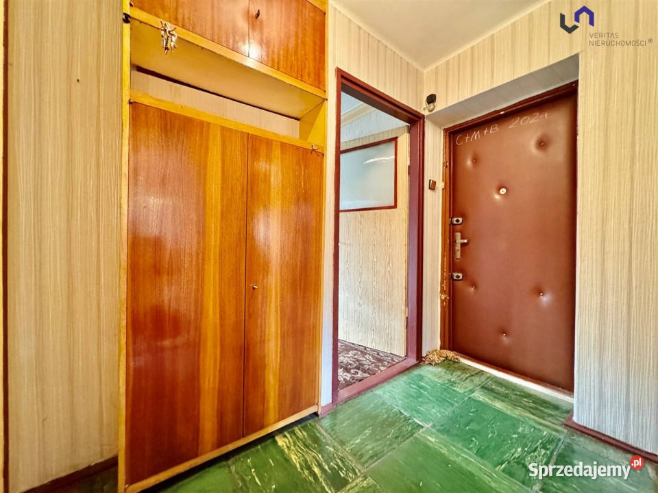 sprzedaży mieszkania 485m2 2 pokoje Katowice 8226zł/m2 sprzedam