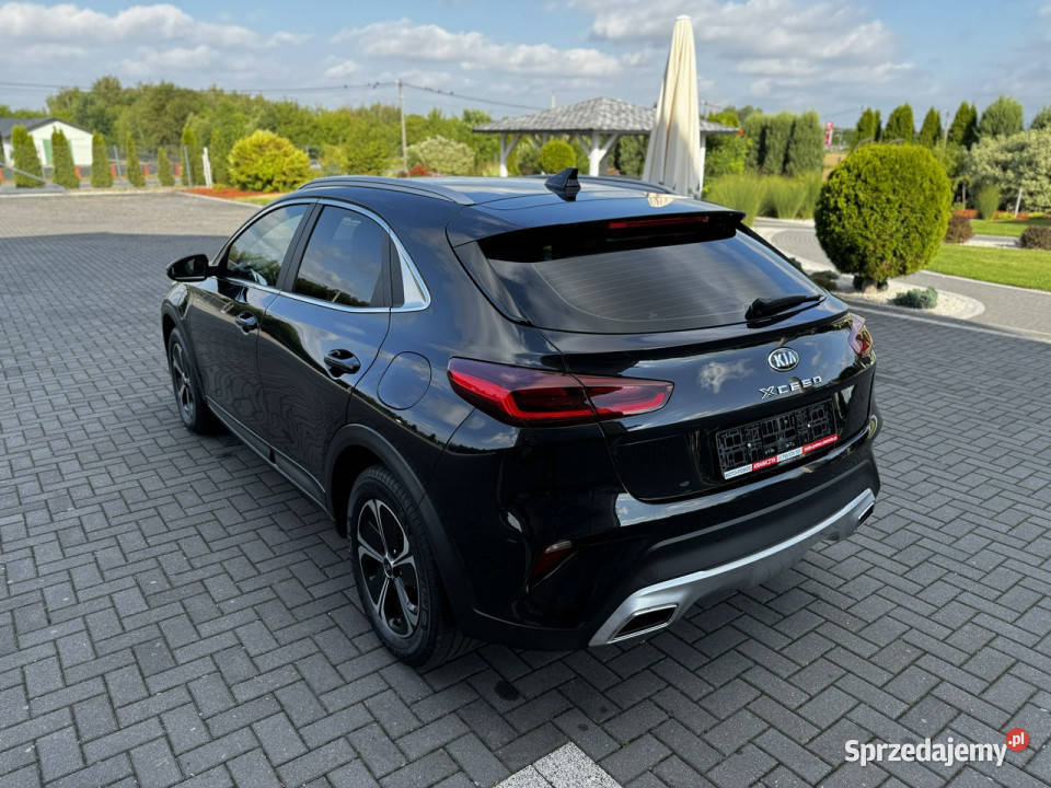 Kia XCeed Serwisowany KIA Oryginalny lakier NAVI Modliborzyce