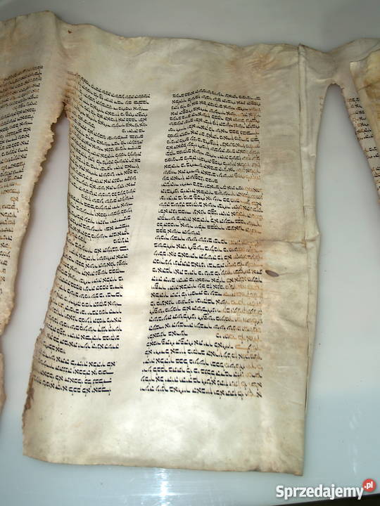 Dziewiętnastowieczna tora na pergaminie