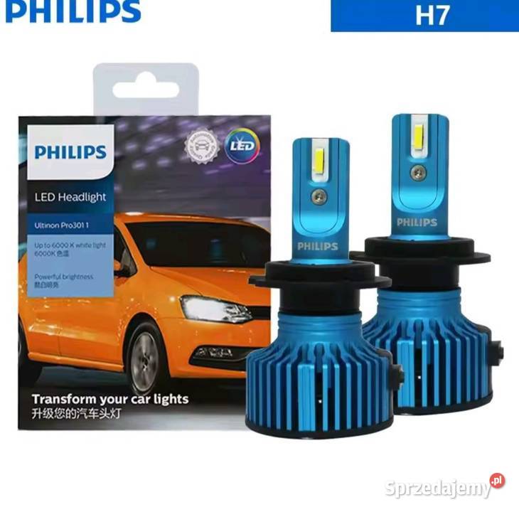 Żarówki ledowe H7 Philip Szprotawa