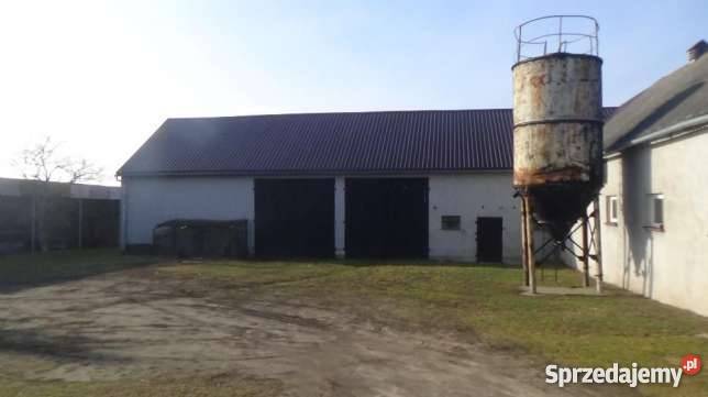 Gospodarstwo rolne 7 ha z budynkami Dobrzejewice