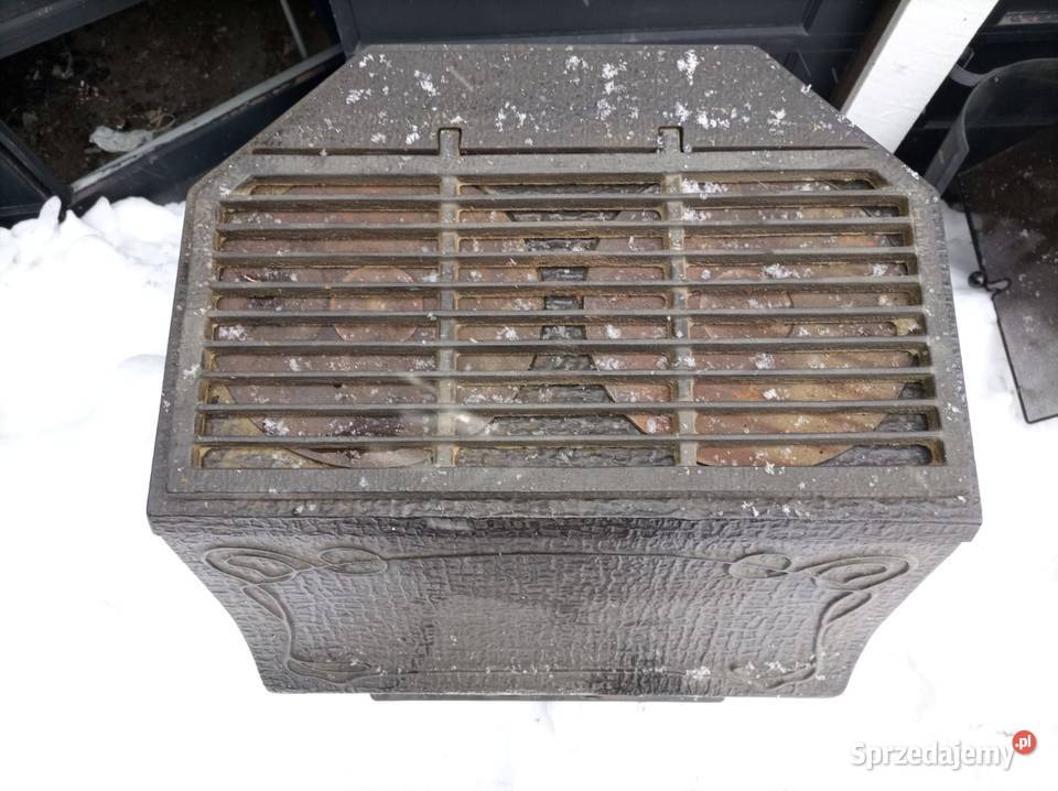 Norweska Koza wielkopolskie Rudzica