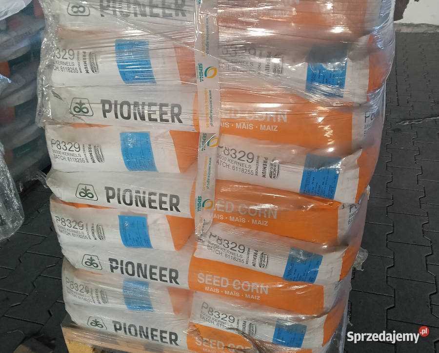 Nasiona kukurydzy Pioneer P8834 P8329 P8904 kujawsko-pomorskie Łabiszyn