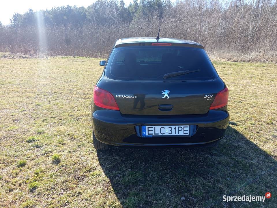 Peugeot 307 20HDI KLIMA Oszczędny nieuszkodzony