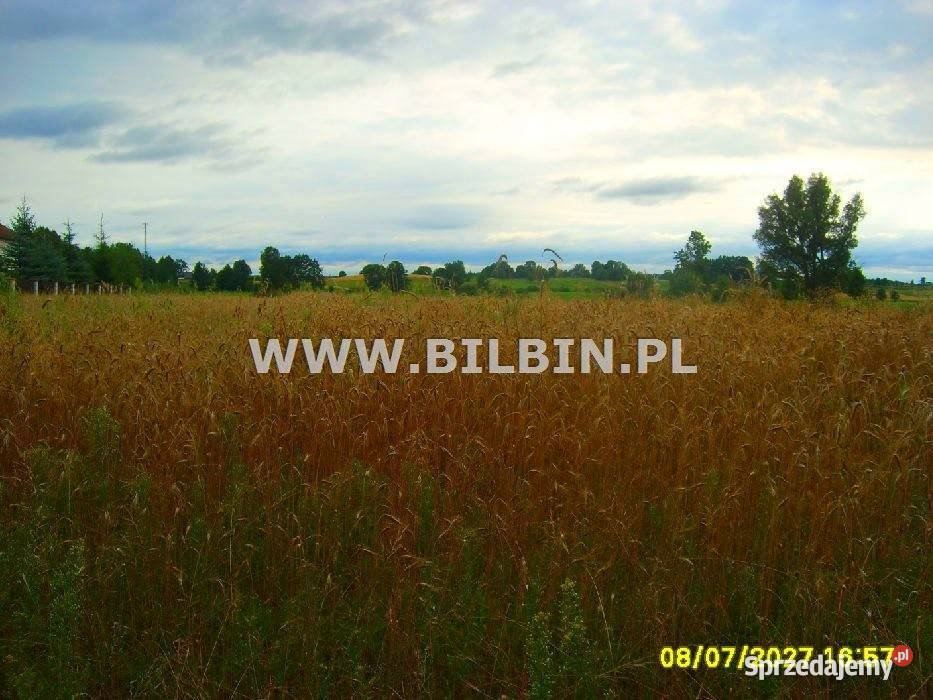 Grunt 3700m2 Olszanka sprzedam