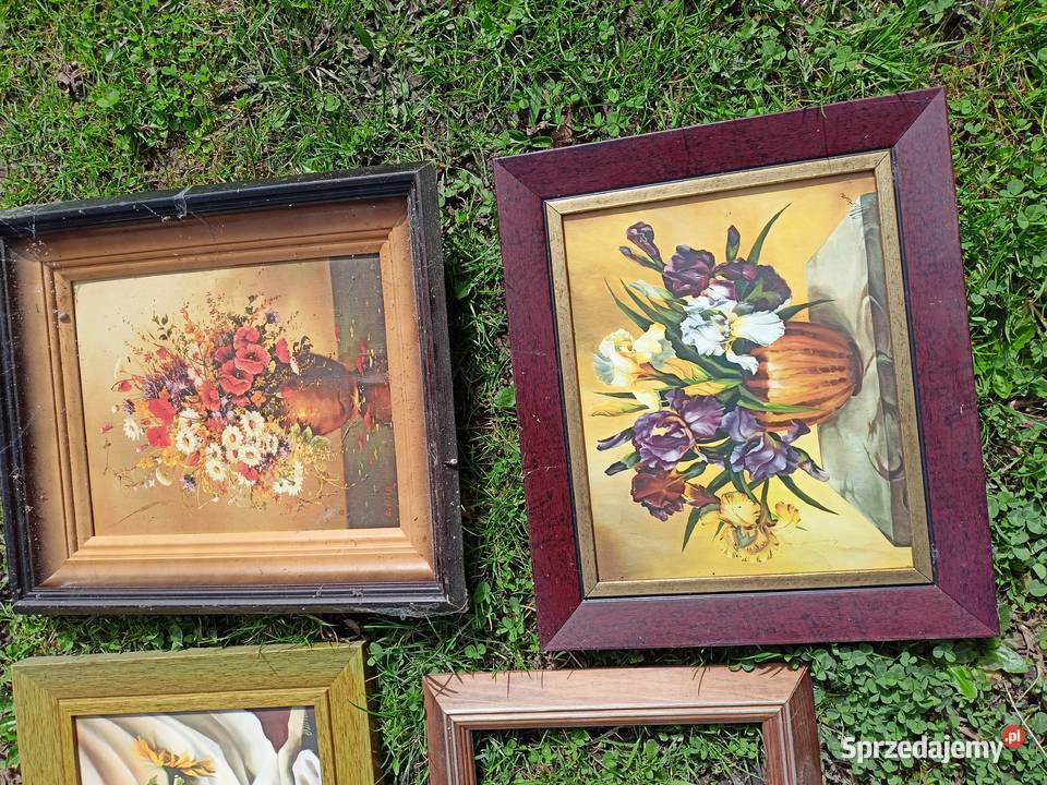 Obrazy obrazki Sokołów Małopolski