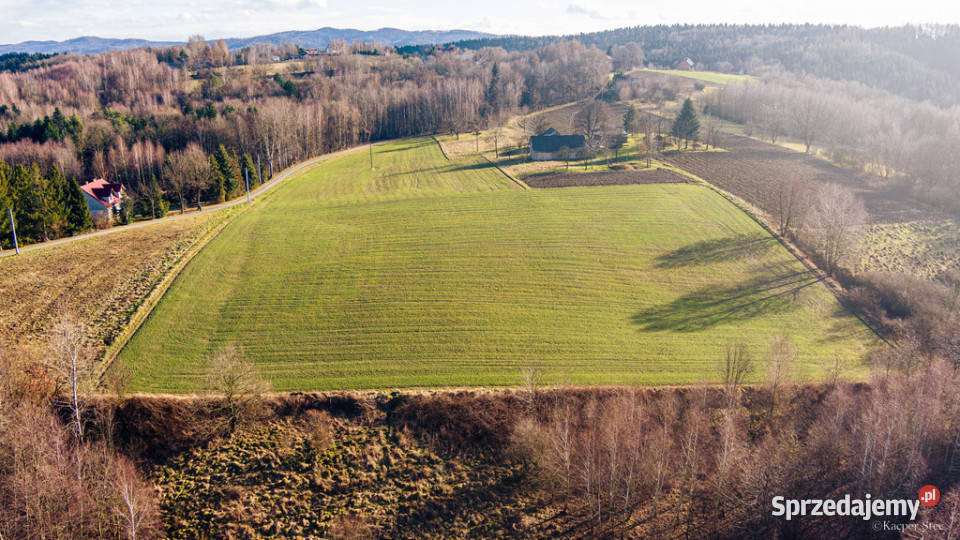 Działka rolna Tuchów sprzedam