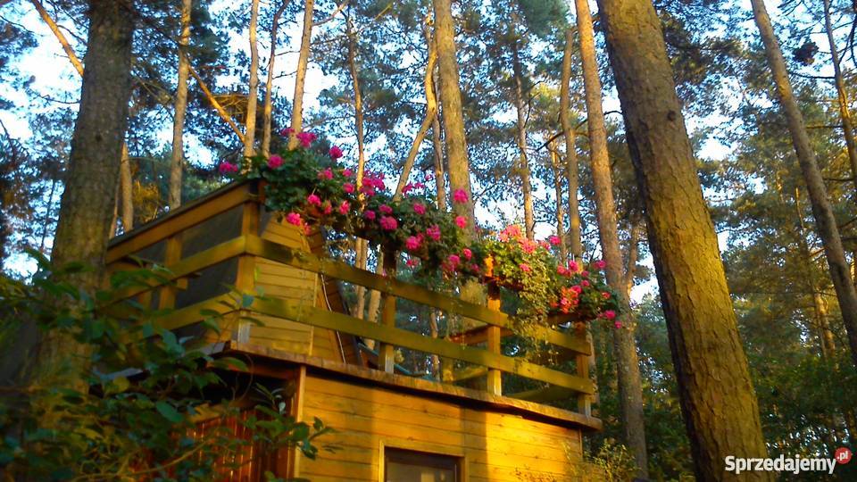 Domek letniskowy w Grzybowie rekreacyjny Grzybowo sprzedam