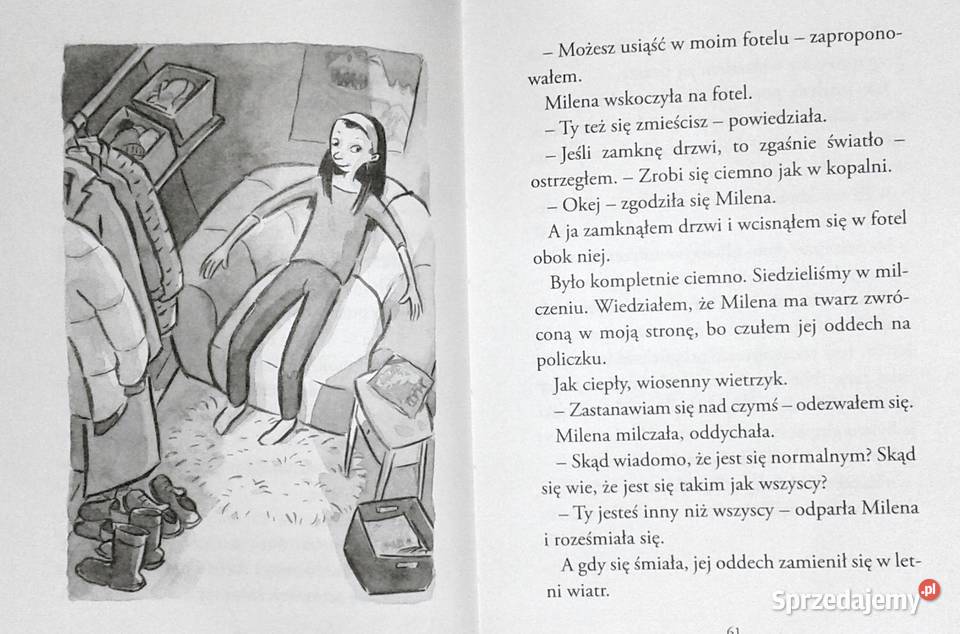 Inny niż wszyscy Per Nilsson Pija Lindenbaum Chełm