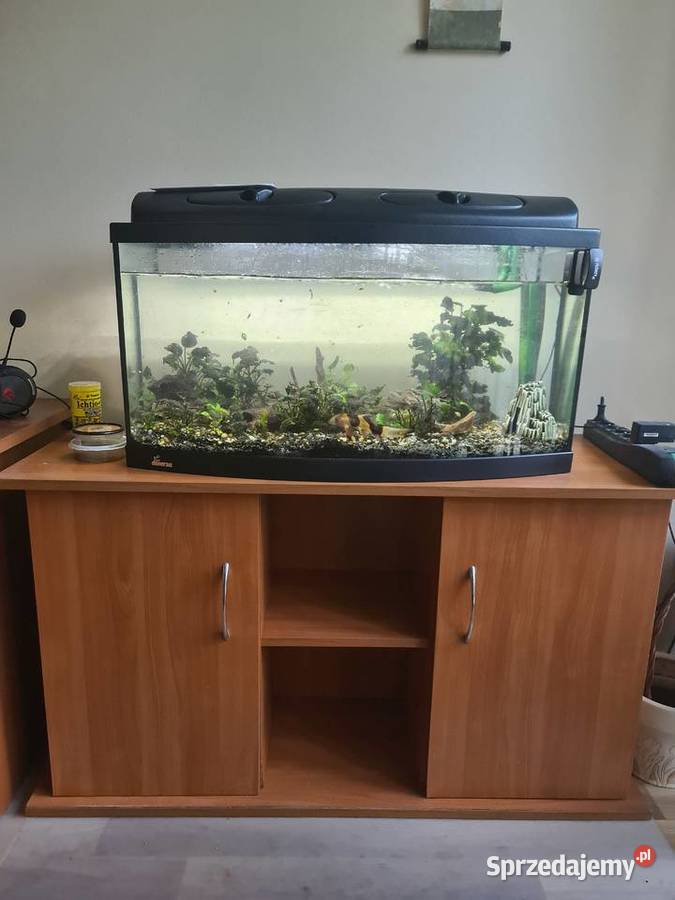 Akwarium 120l z filtrem zew I akcesoriami Warszawa