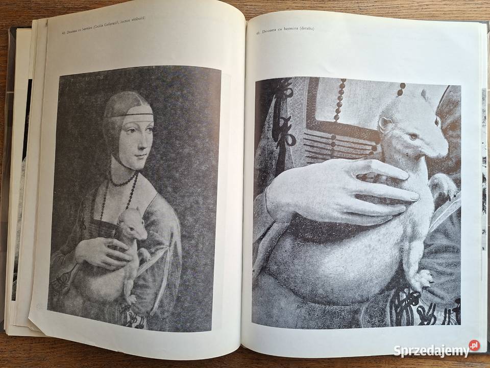 Leonardo da Vinci j rumuński Rok wydania 1978 Kraków