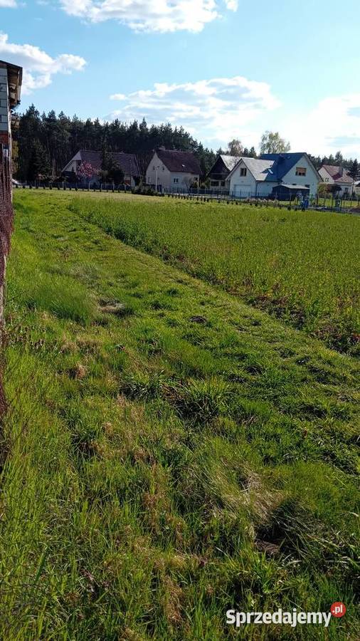 Sprzedam działkę Trzebiechów