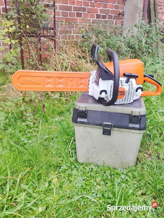 Stihl ms 250 piła wielkopolskie Rawicz