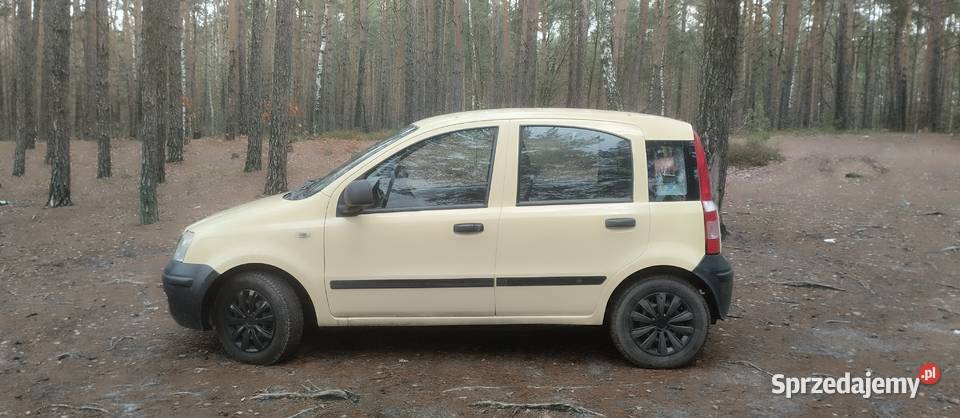 Fiat Panda 2004 benzyna Mińsk Mazowiecki