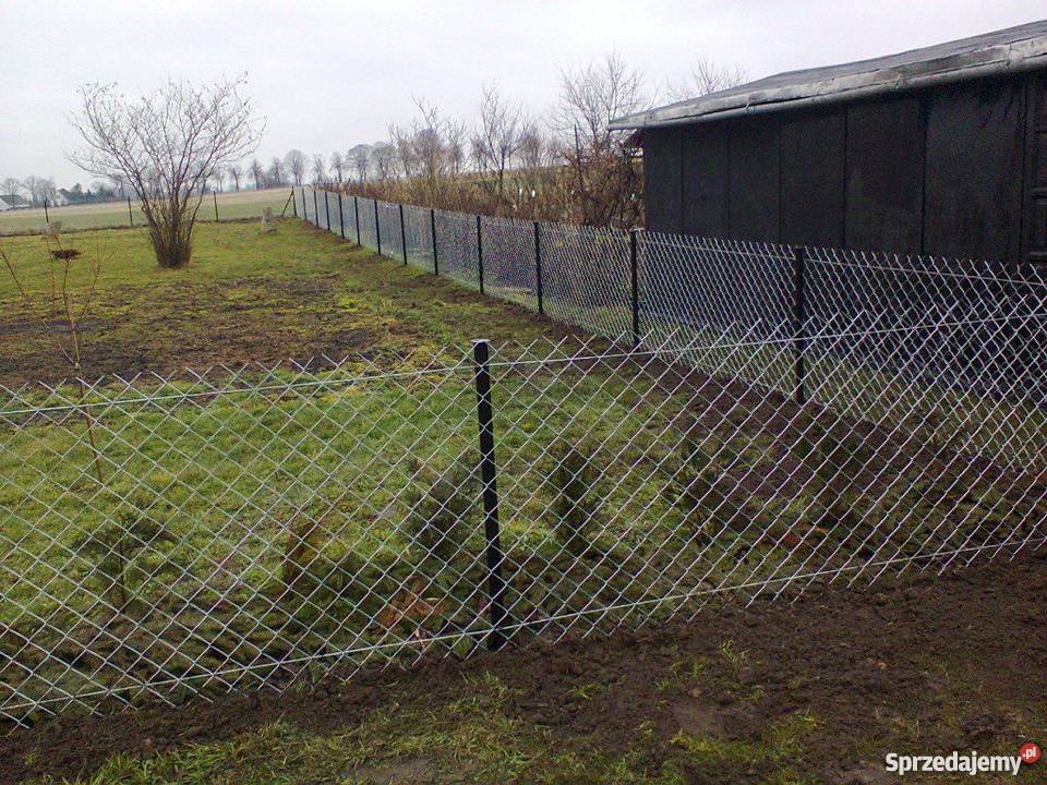 Wykonam Ogrodzenie fachowomalowanie ogrodzen a