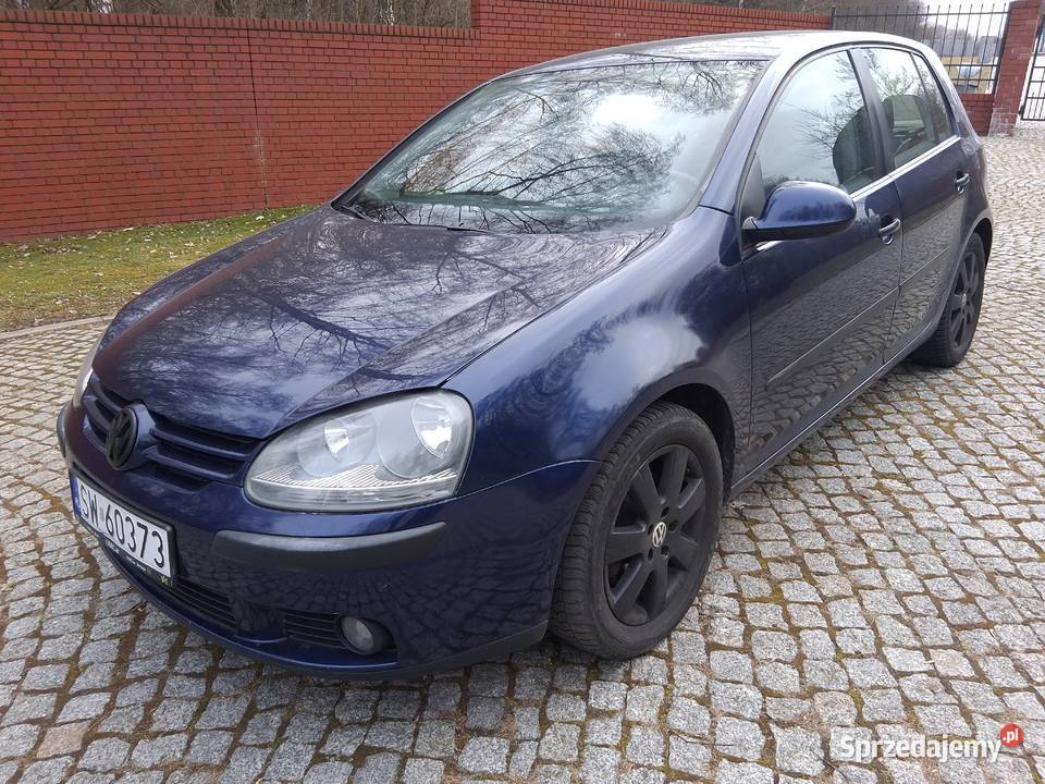VW Golf V 16mpi 102 5 drzwi 220000 zdrowy 100