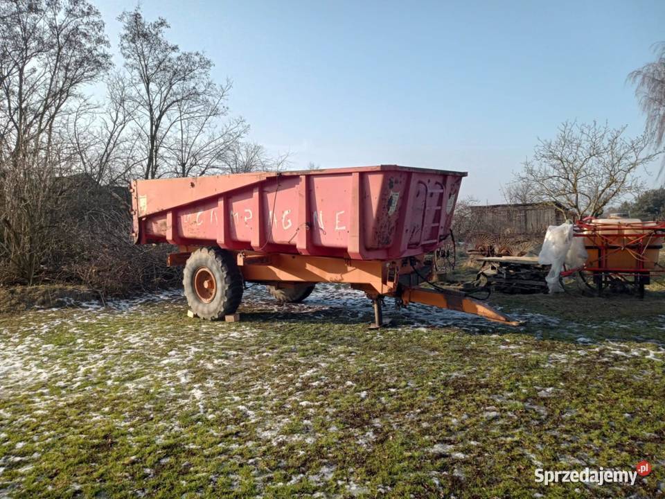 Przyczepa Skorupowa jednoosiowa wielkopolskie