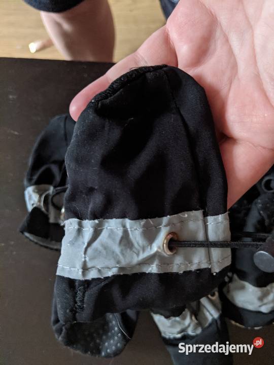 Buty do psów i kotów Poznań