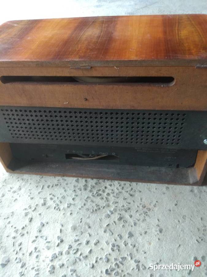 Diora Menuet UKF 20303 świętokrzyskie Lechów