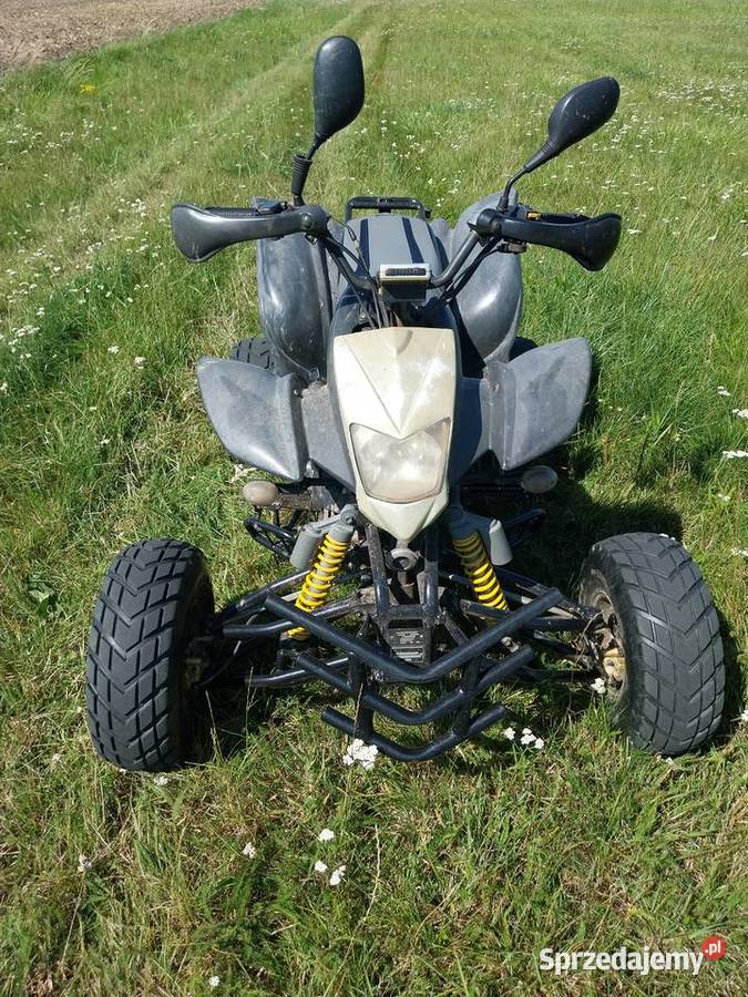 Quad kingway Dolice