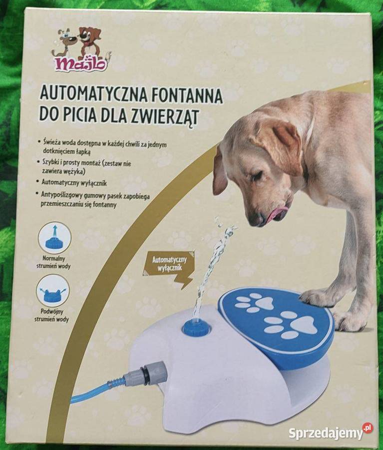 automatyczne fontanna poidełko do picia psów Łódź