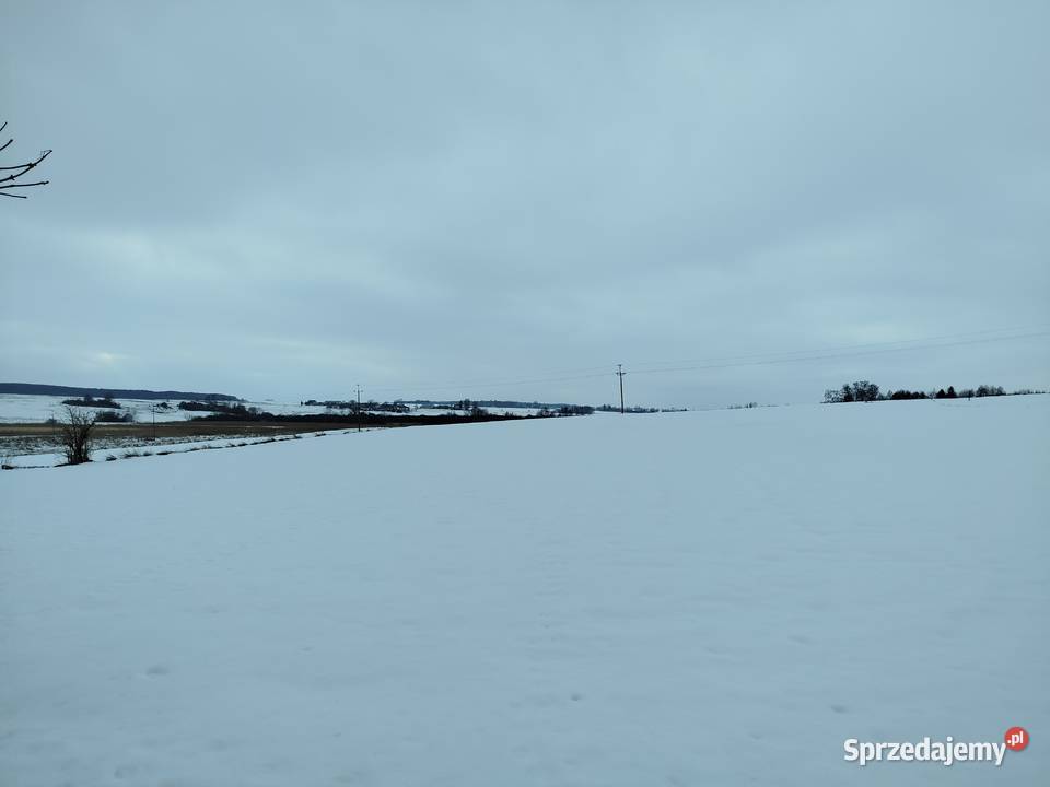 Sprzedam siedlisko z polem ornym klasy 11000m2 Telatyn sprzedam