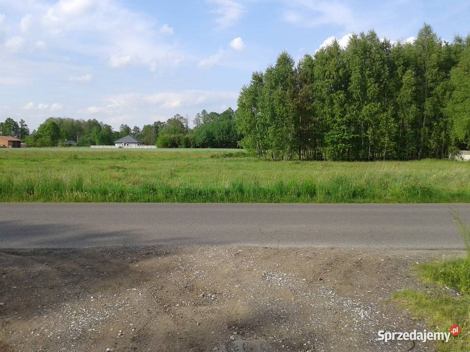 DZIAŁKA ROLNA DO PRZEKSZTAŁCENIA W BUDOWLANĄ Bełchatów sprzedam