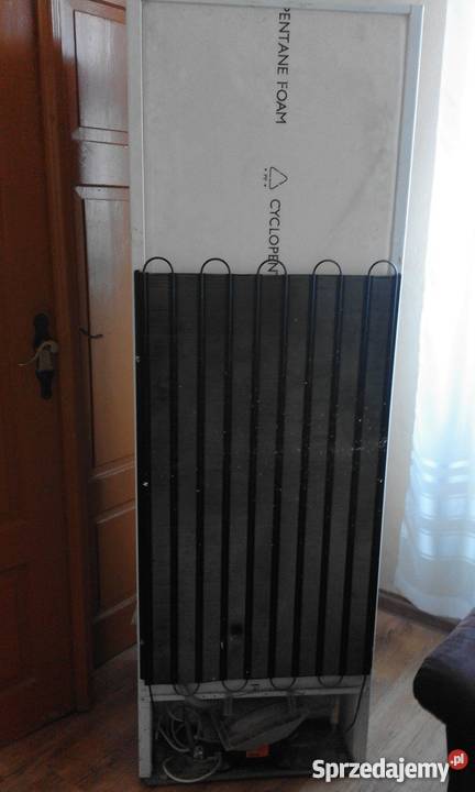 Elektronika z Amici Sosnowiec