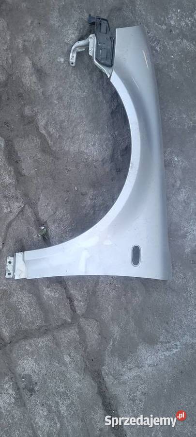 VW Passat b5 błotnik Lewy Błotniki Poznań