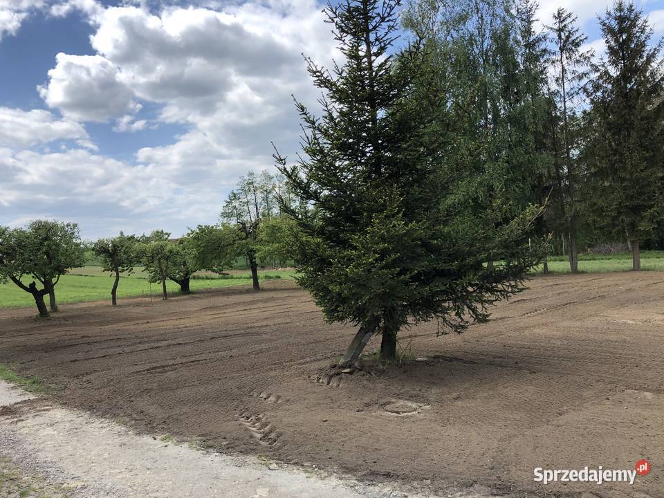 Glebogryzarka separacyjna zakładanie trawników Kielce